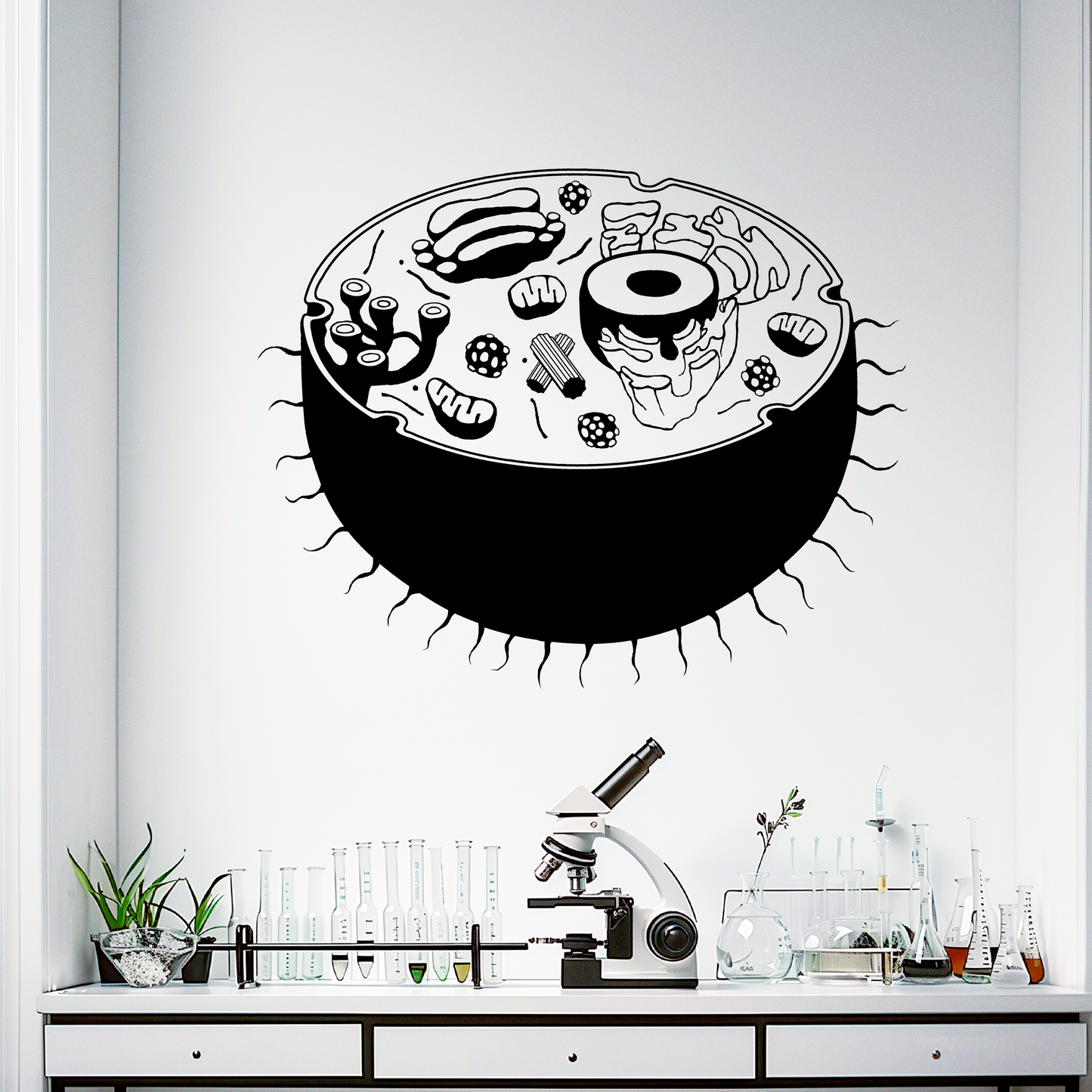 Human Cell Cross Section